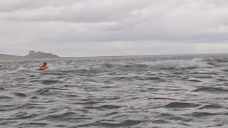 Humpback whale briefly swallows kayaker