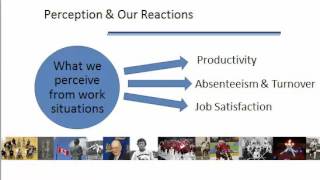 Perception and Decision Making Video