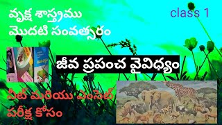 జీవ ప్రపంచ వైవిధ్యం|botany|class1|diversity of living world| neet \u0026 Emcet classes for telugu medium|