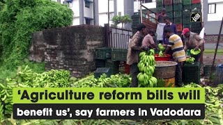 ‘Agriculture reform bills will benefit us’, say farmers in Vadodara