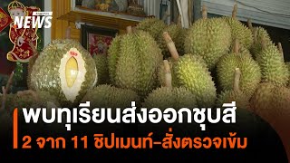 พบทุเรียนส่งออกชุบสี 2 จาก 11 ชิปเมนท์ สั่งด่านตรวจพืชให้ตรวจทุกชิปเมนท์ | Thai PBS News