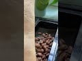 ASMR refelling coffee beans on the coffee machine | very satisfying sound effects #reels #shorts