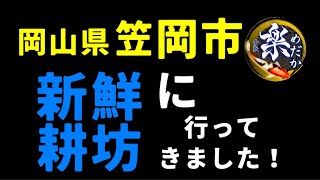 岡山県笠岡市　新鮮耕坊（しんせんこうぼう）というメダカ屋さんに訪問してみた！　@rakumedaka 　笠岡ベイファーム　ポピー畑　かさおか太陽の広場