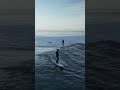 surfers surfing forever waves surfing pv🌊🏄‍♂️🌊🔥