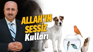 Dinimizce Hayvanların Önemi Nedir? | Ömer Döngeloğlu