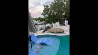 Video Shows Sergeant Removing Croc From Florida Keys Pool
