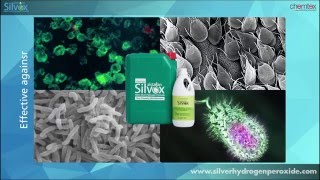 Chemtex Alstasan Silvox - Silver Hydrogen Peroxide Water Sanitizer - Chemtex Speciality Limited