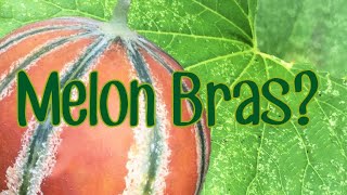 Making Supports for Melons on a Trellis