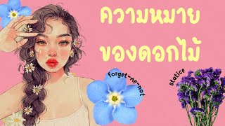 ความหมายของดอกไม้🌸🌼ดอกforget me not และ ดอกstatice🌸🌼