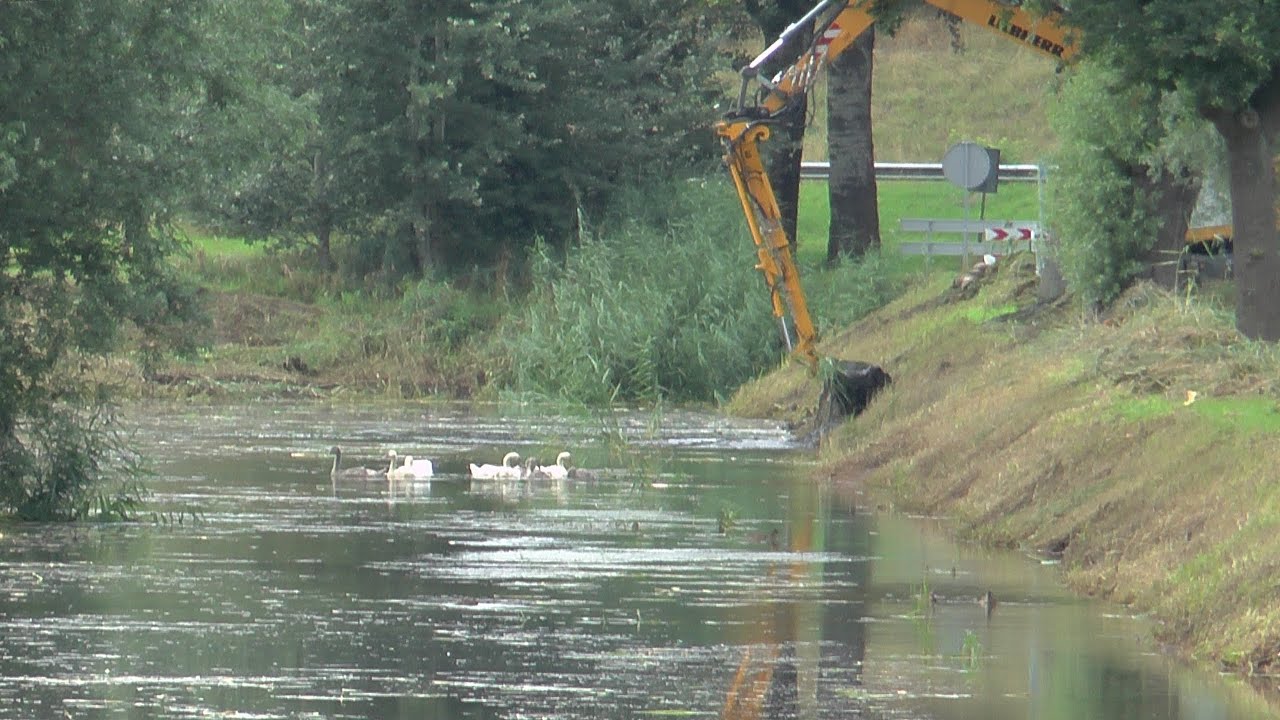 Het Beheer Van Waterschap De Dommel In Tilburg En Goirle - YouTube