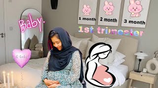 1st Trimester Pregnancy Experience🥰🤰 | Mashura | Basheer Bashi | Suhana