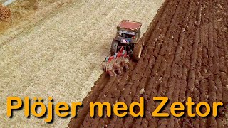 Plöja med Zetor 7045 på Orust (Drönaren kraschar) Plowing at my homestead with a Zetor (Drone crash)