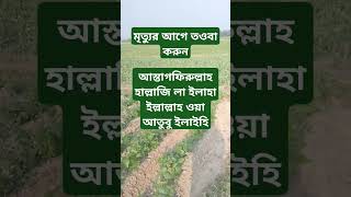 মৃত্যুর আগে তওবা করুন# দোয়া# #ইসলামিক #আমল#