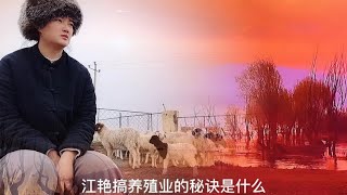 一个草原上的大姑娘，是如何把养殖业做好的？这里面到底有啥玄机