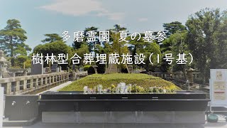 【多磨霊園】夏の墓参　樹林型合葬埋蔵施設（1号基）