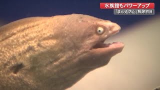 桂浜水族館が再開・まん延防止で休館中に『海のギャング』仲間入り、アシカのショーは当面中止【高知】 (21/09/13 17:00)