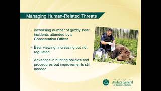 An Independent Audit of Grizzly Bear Management