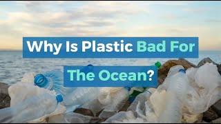 Why is Plastic Bad for the Ocean