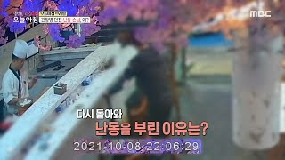 [생방송 오늘 아침] 횟집에 나타난 난동 손님 피해, MBC 211019 방송