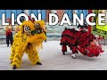 Lion Dance Performance in Chinatown San Francisco 2024