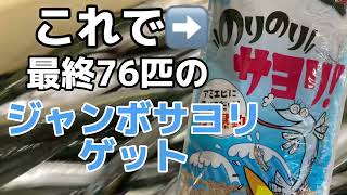 9/9(金)新発売！『のりのりサヨリ』でのりのりにサヨリ釣ろう！　　フィッシングマックス芦屋店