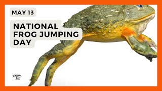 National Frog Jumping Day | May 13
