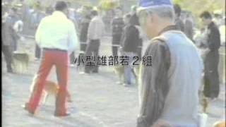 平成元年秋季(社)日本犬保存会関東連合展覧会にて1989懐古映画館＋６