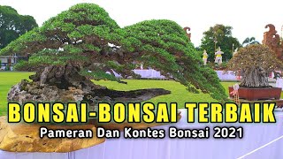 Deretan Bonsai Terbaik Di PamNas Bonsai Gianyar-Bali 2021