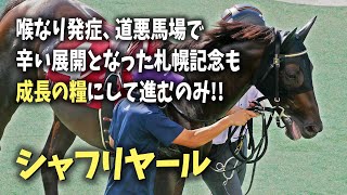 【シャフリヤール】2021年日本ダービーなどG1レース２勝！夏の大一番G2札幌記念のパドック【G2札幌記念2023.8.20】