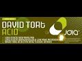 david tort acid lost in acid ausfahrt mix