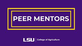 LSU College of Agriculture | Peer Mentors