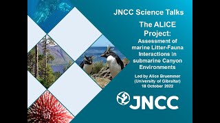 JNCC Science Talks - The ALICE Project