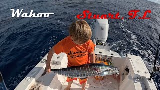 Catching wahoo, barracuda, and little tunny in Stuart, FL