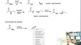 Reactions of Amides