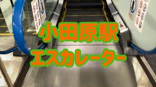 【シンドラー製】JR小田原駅（在来線ホーム）エスカレーター【東海道線】【湘南新宿ライン】