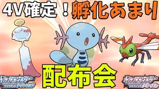 オシャボ！4V以上！孵化あまり交換会！【ポケモンBDSP】