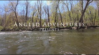 Fly Fishing the NJ Paulinskill River, Apr 2022