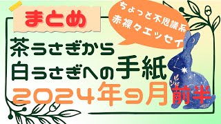 【まとめ】茶うさぎから白うさぎへの手紙 2024年9月前半