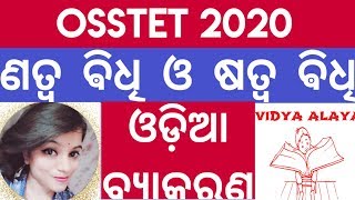 ଣତ୍ୱ ଓ ଷତ୍ୱ ଵିଧି||osstet odia grammar class||osstet exam bseodisha 2020||osstet odia grammar