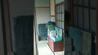 年期の入った昭和戸建沢山有る残置物から生活が分かる空き家内見 #shorts #short #不動産投資 #空き家 #再建築不可 #戸建投資 #廃墟 #昭和 #内見