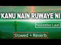 Kanu Nain Ruwaye Ni - Naseebo Laal || Slowed and Reverb || Bass Boosted || Pakistani Song