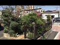 小祠 東京都葛飾区