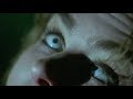 The Wombats & Panic! at the Disco - Lemon To LA (mashup video)