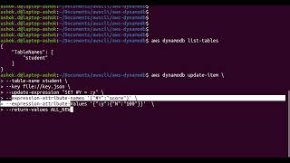 Update Item in DynamoDB Table using AWS Cloud command