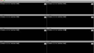 Tcp Echo Server -Testing NonBlockingServer