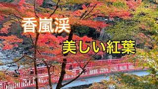 香嵐渓 2022年11月7日