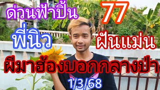 พี่นิว77ด่วนฟ้าปิ้นฝันแม่นผีมาฮ้องบอกกลางป่า3โต1/3/68