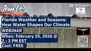 Florida Weather and Seasons: How Water Shapes Our Climate