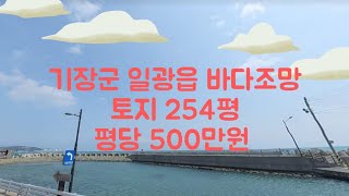 기장군 일광읍 바다조망 토지 254평 평당 500만원