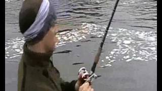 Fishing for sea trout in River Lule, Boden, Swedish Lapland (Norrbotten)